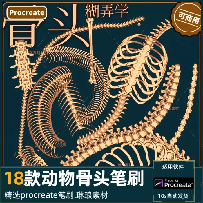18款动物骨头procreate笔刷 可商用ipad绘画素材图片 1