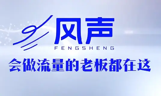 董十一·风声短视频AI获客年度会员 第1张