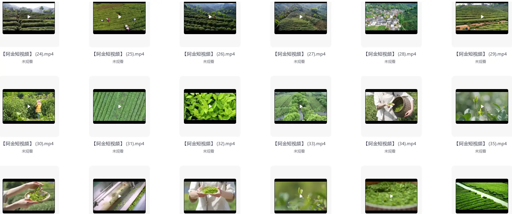 茶叶茶业短视频素材【4K-1080P】【43.3G】 第5张 茶叶茶业短视频素材【4K-1080P】【43.3G】 第5张