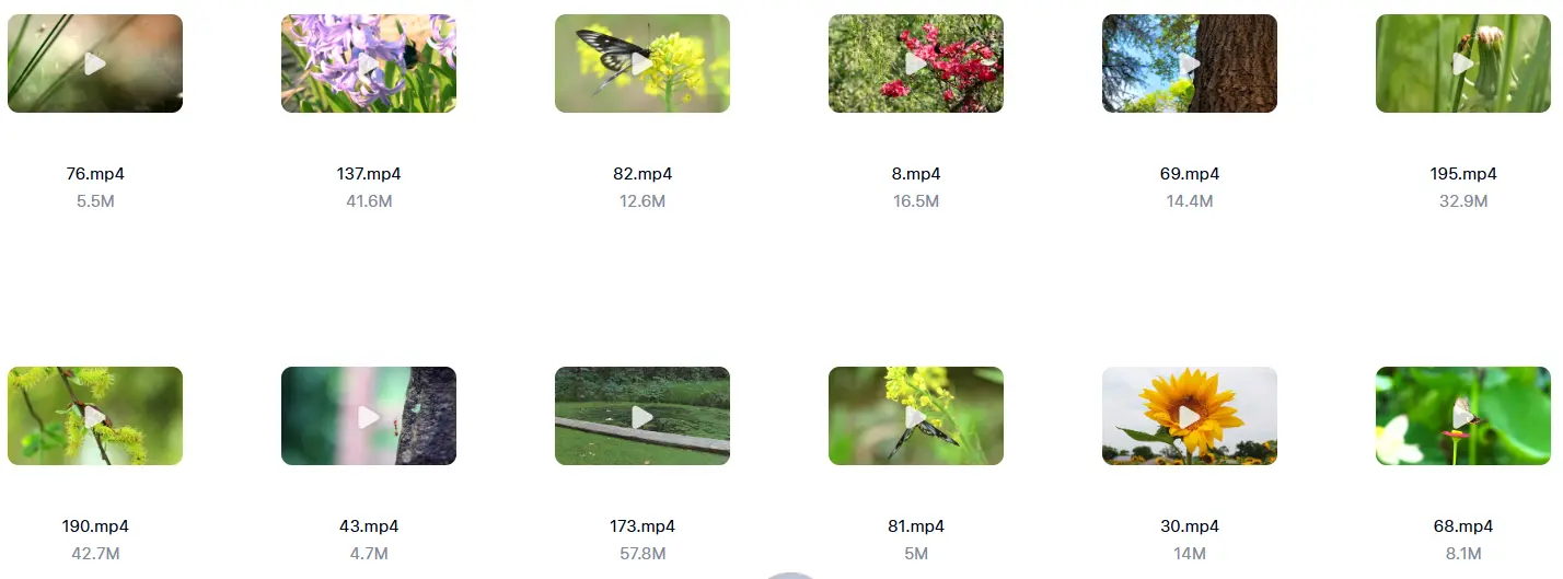 精选213款春天昆虫微距特写自然视频素材 第5张