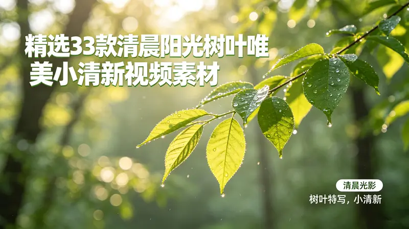 精选33款清晨阳光树叶唯美小清新视频素材