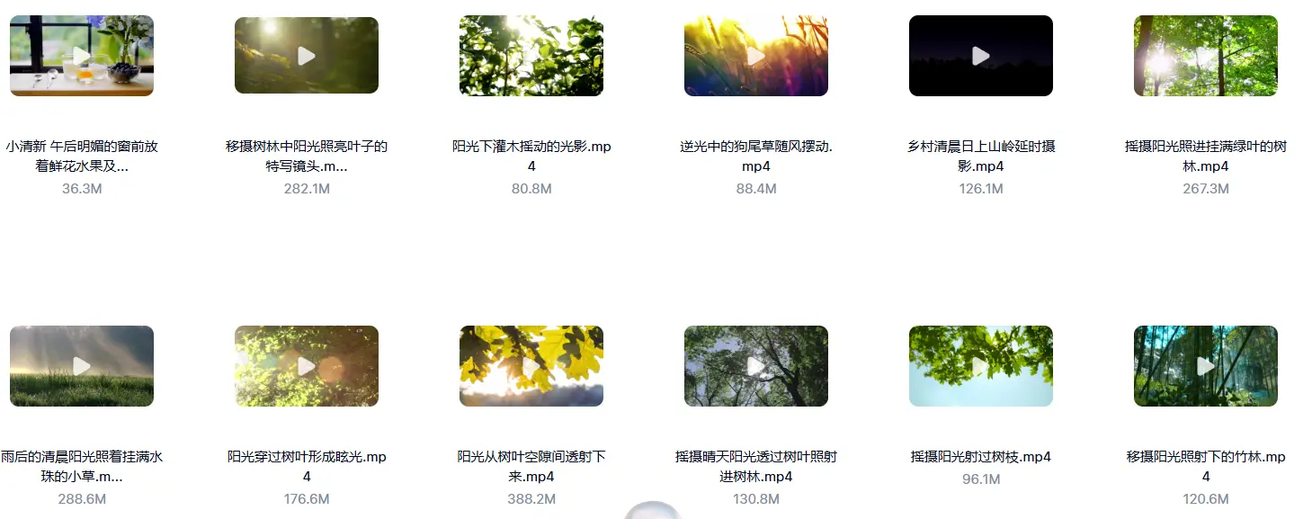 精选33款清晨阳光树叶唯美小清新视频素材 第2张