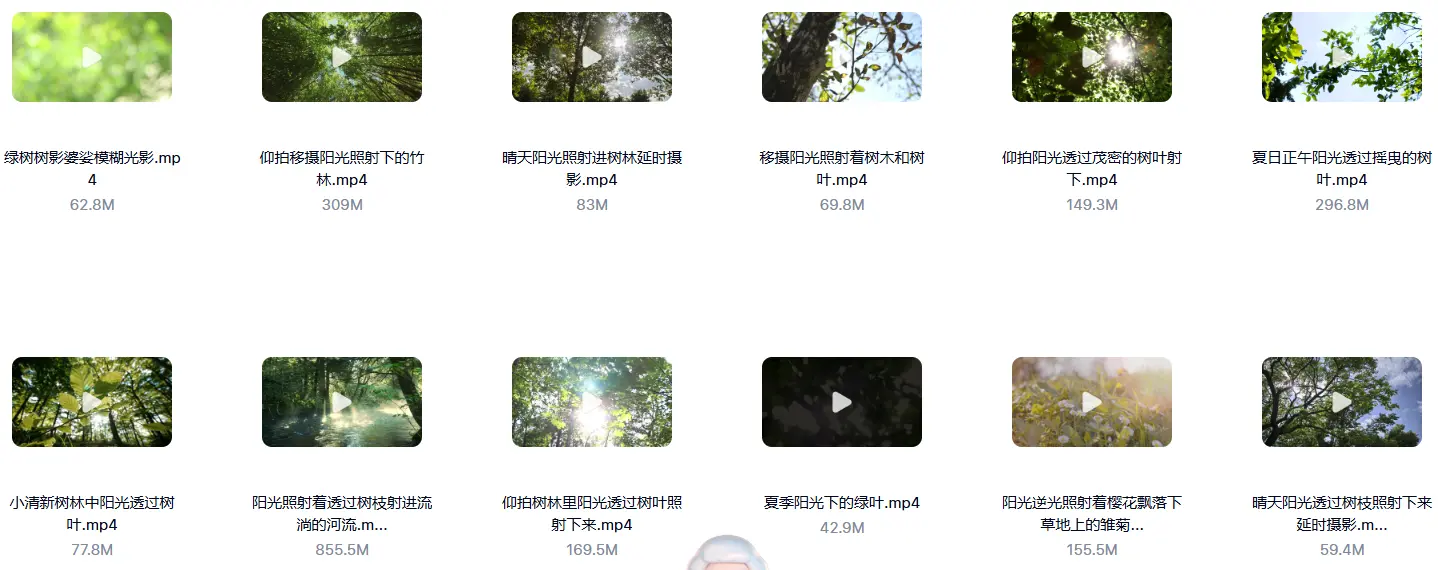 精选33款清晨阳光树叶唯美小清新视频素材 第3张