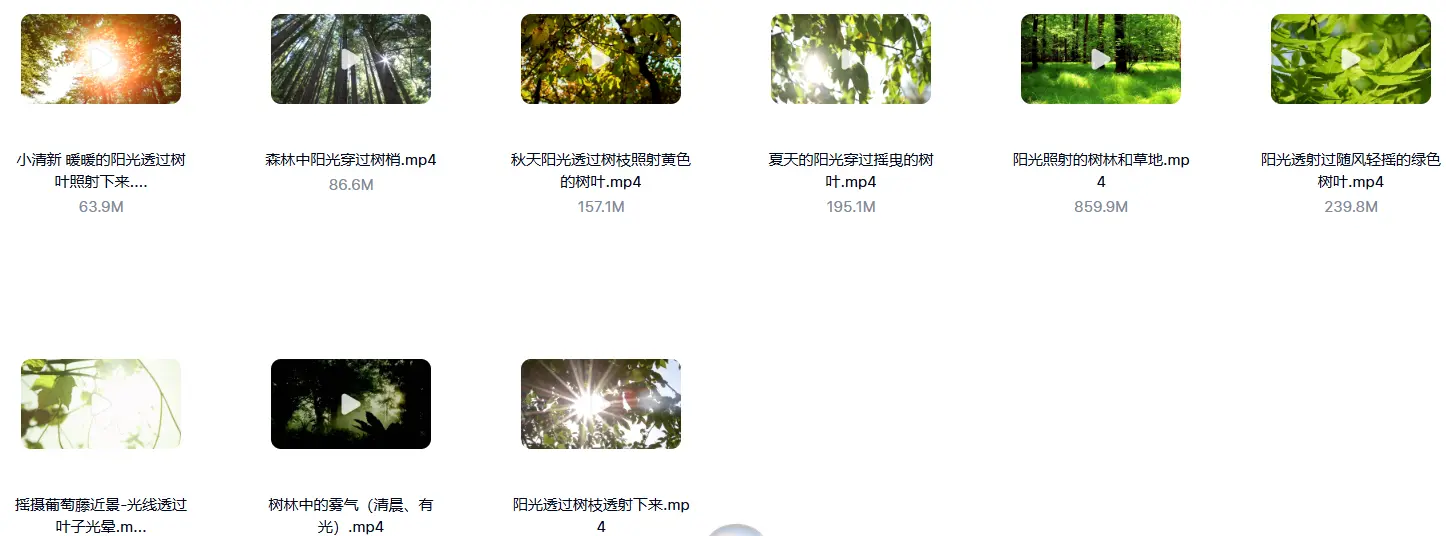 精选33款清晨阳光树叶唯美小清新视频素材 第4张