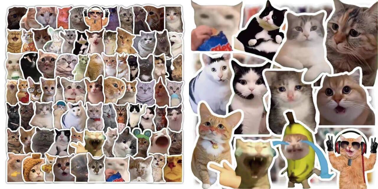 猫meme绿幕素材,小猫咪跳舞视频剪辑素材 第2张 猫meme绿幕素材,小猫咪跳舞视频剪辑素材 第2张
