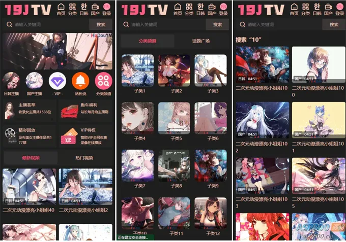 第12款：二次元影视源码/视频源码/苹果cms-v10版本/带采集规则/完美运营版