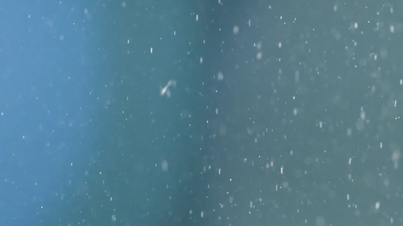 79个下雪冰冻结冰特效4K视频合成素材