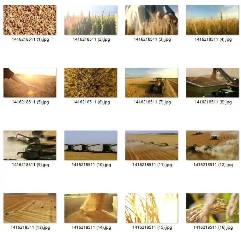 农业丰收短视频素材下载