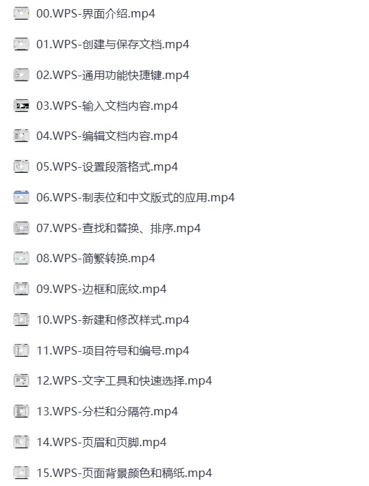 WPS零基础自学操作入门视频教程下载 第1张