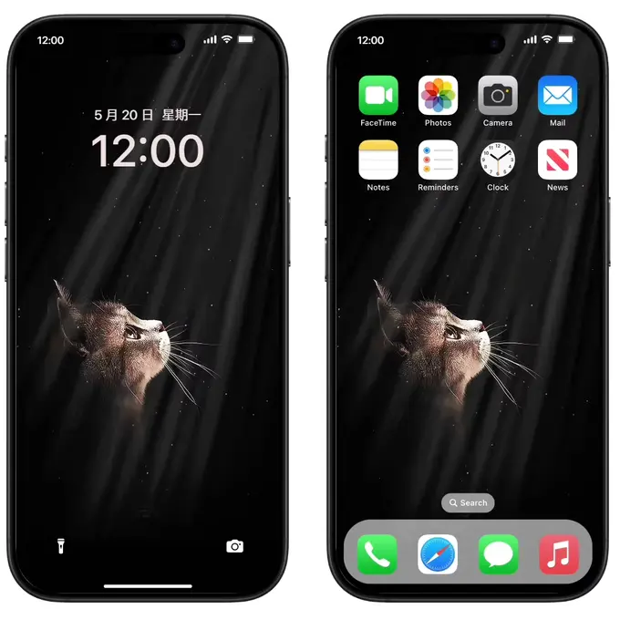 黑夜中的猫咪苹果手机动态锁屏壁纸实况照片屏保超清iPhone11/16 第1张