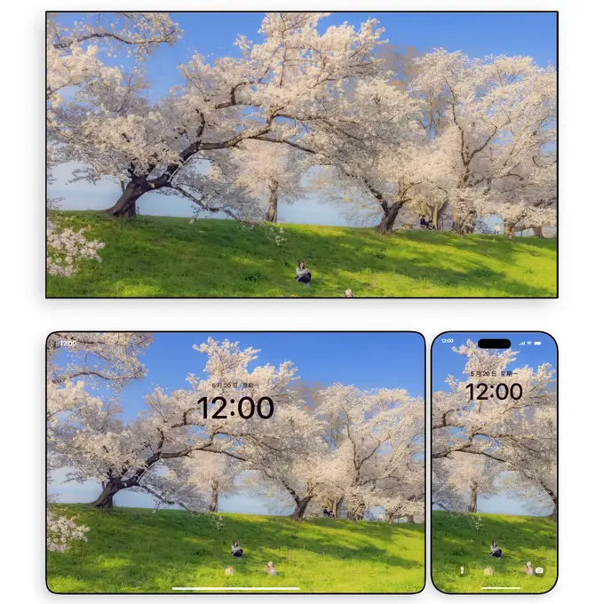 春日樱花树下盛景4K高清(电脑手机平板ipad壁纸)