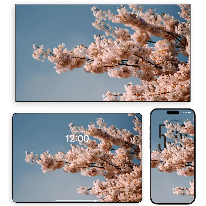 故乡的樱花4K景深立体壁纸(电脑手机平板ipad壁纸)