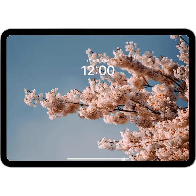 故乡的樱花4K景深立体壁纸(电脑手机平板ipad壁纸) 第4张