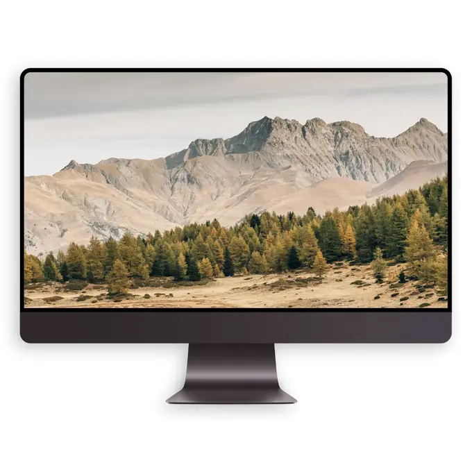 秋山云隐 交织的落叶松林4K高清壁纸(电脑手机平板ipad图片) 第4张