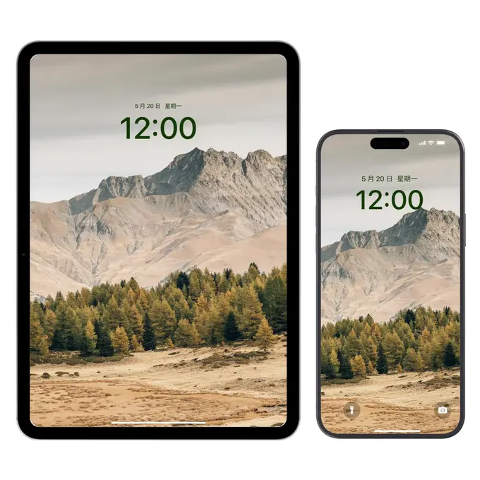 秋山云隐 交织的落叶松林4K高清壁纸(电脑手机平板ipad图片) 第3张