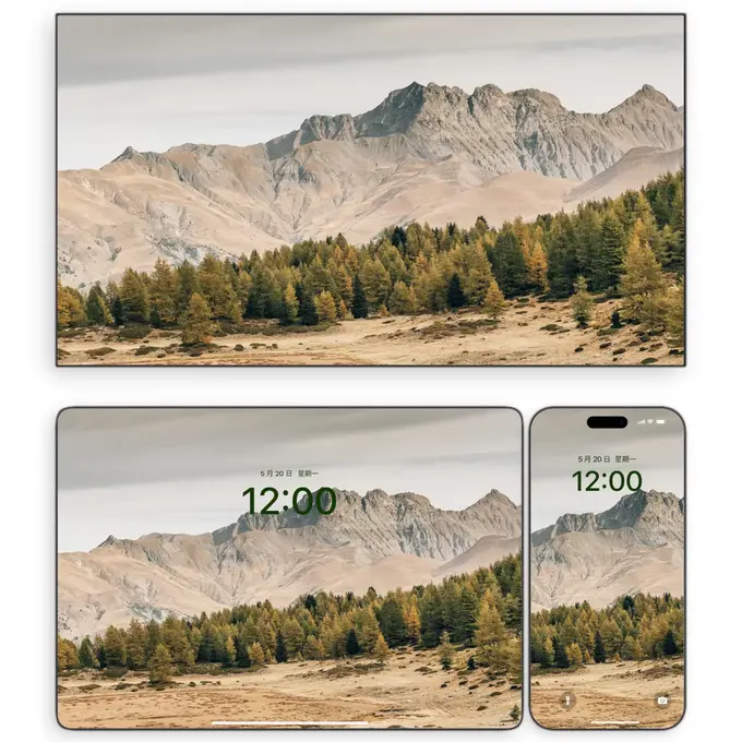 秋山云隐 交织的落叶松林4K高清壁纸(电脑手机平板ipad图片) 第1张