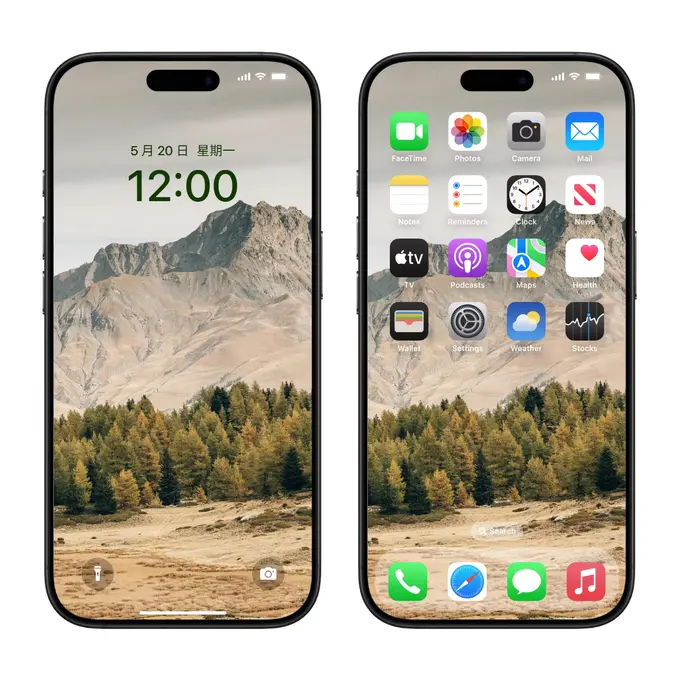 秋山云隐 交织的落叶松林4K高清壁纸(电脑手机平板ipad图片) 第2张