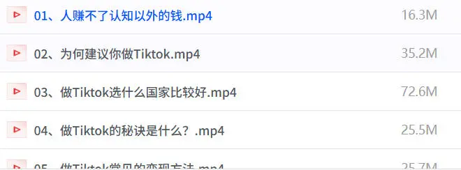 Tiktok短视频从入门到精通，学会制作TK爆款短视频 第1张