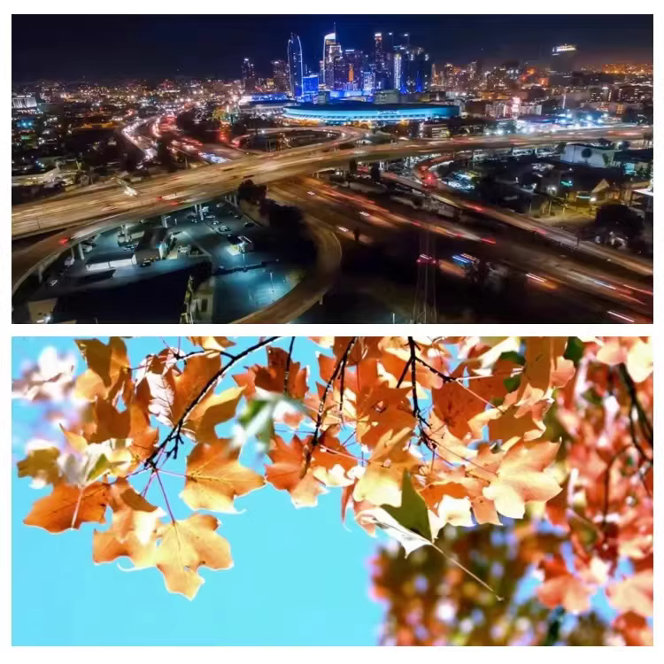 可商用视频片段 无版权风景城市VLOG户外旅拍无声PR剪辑素材 第5张