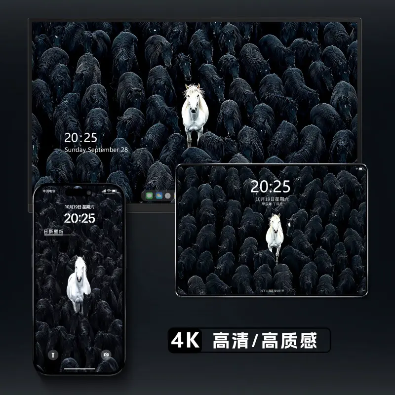 9张新款小红书同款黑白马4K高清壁纸