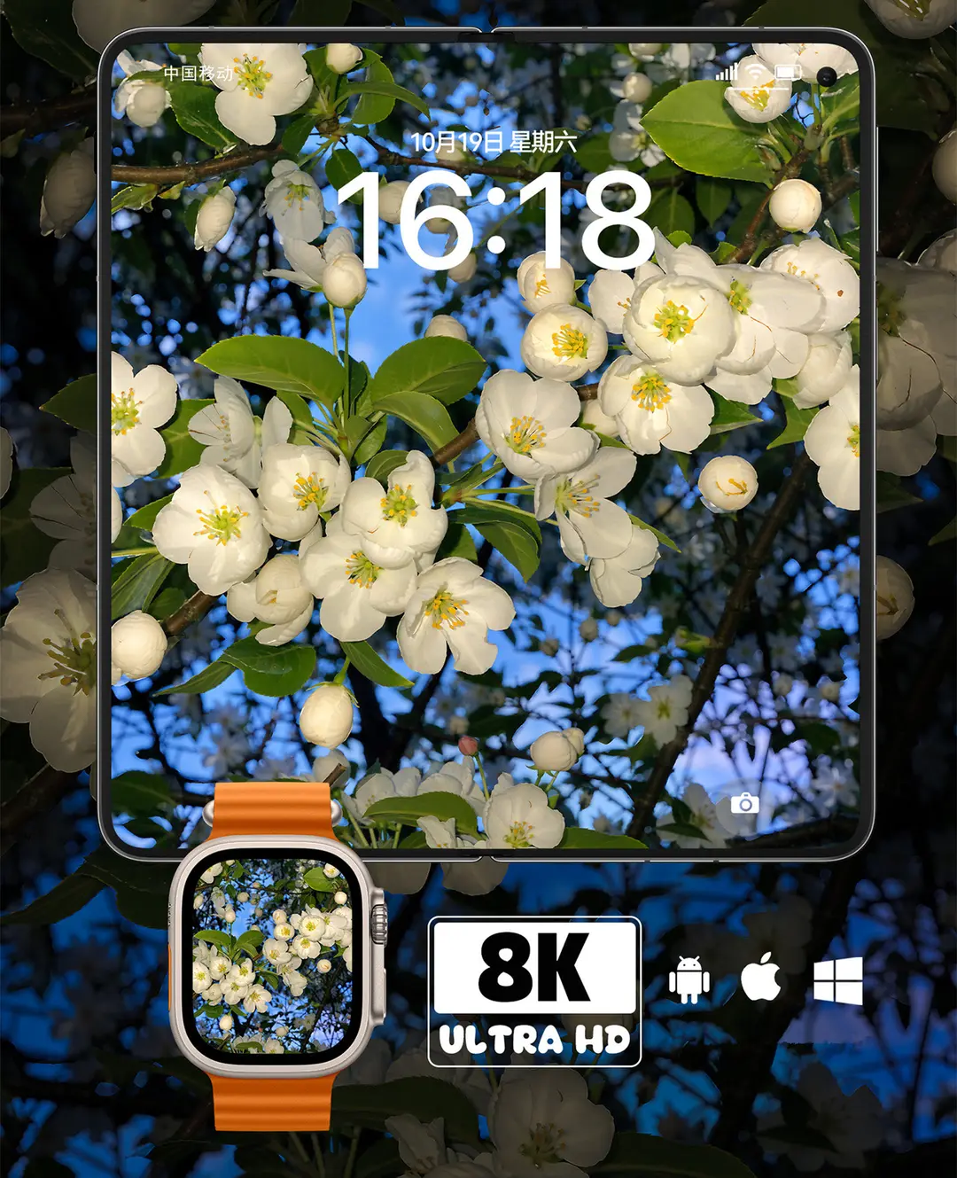 白海棠花特写治愈系8K超清壁纸（共7张图片) 第2张