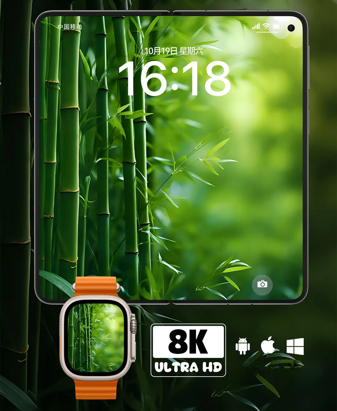 绿竹幽境清新治愈系风景8K超清壁纸（共7张图片) 第3张