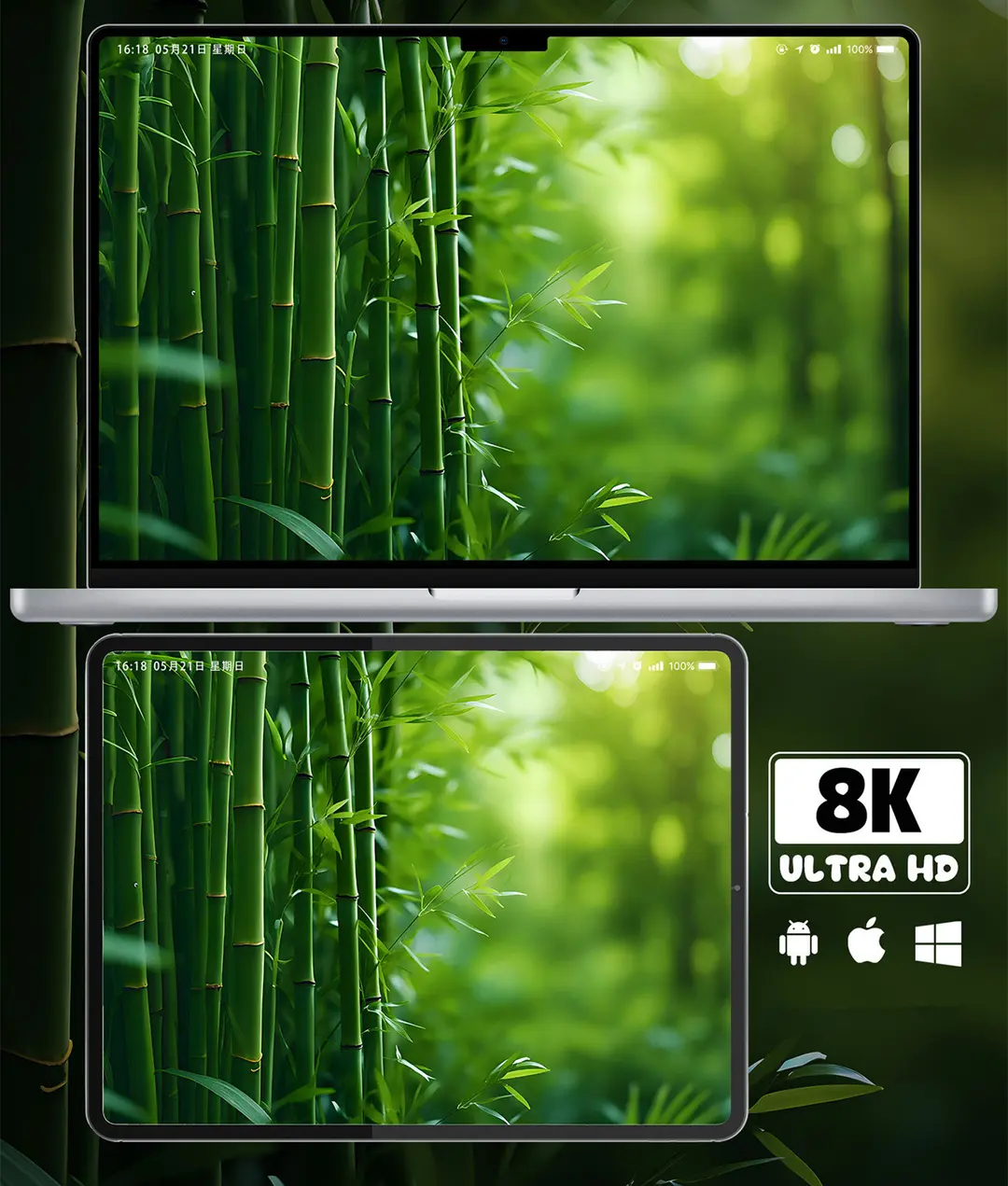 绿竹幽境清新治愈系风景8K超清壁纸（共7张图片)